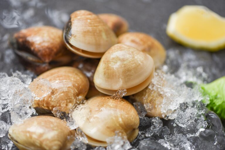 picture of clams for morehead city waterfront restaurants